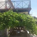 Gina Trogir